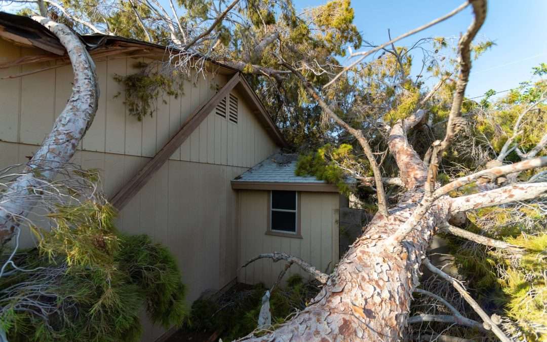 Storm Damage Contractor